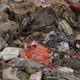 Illustration for article titled Awesome Photos From The Atari Landfill